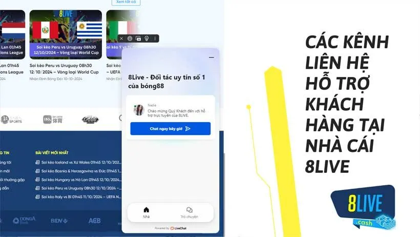 Các kênh liên hệ hỗ trợ khách hàng tại nhà cái 8LIVE